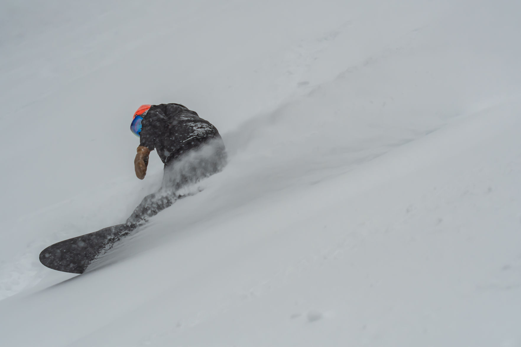 _DSC6330-2.jpg